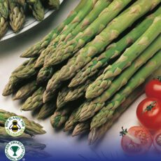 8718641999394 1 Asparagus Gijnlim.jpg